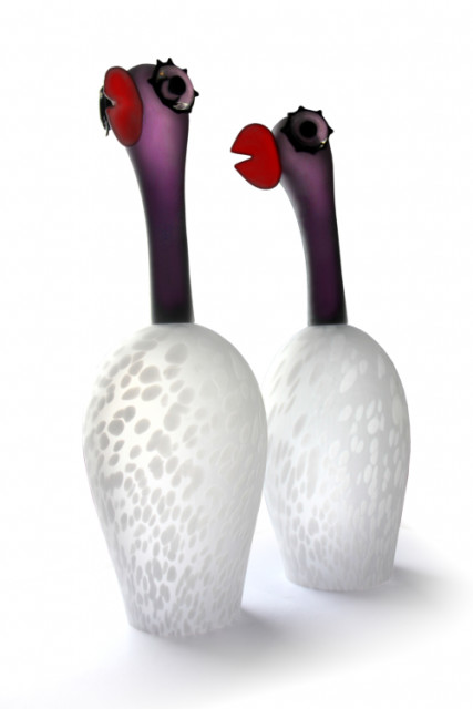 Loranto + Struisvogel